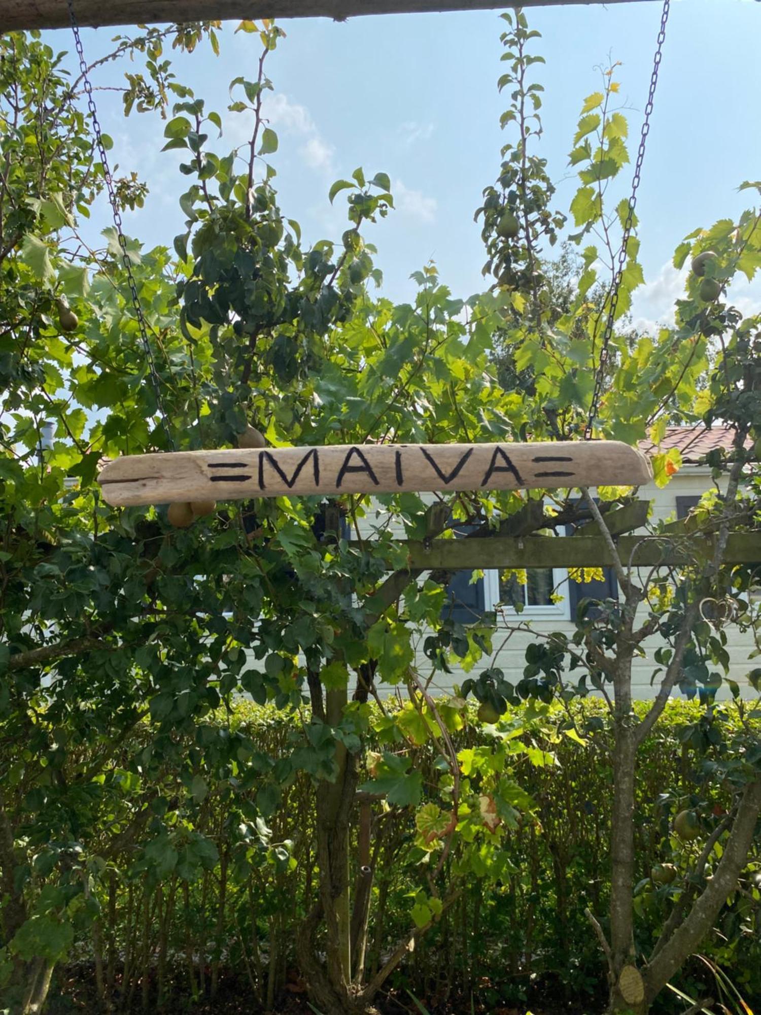Vakantiewoning Maiva - Chaletparc Krabbenkreek 圣安娜兰 外观 照片